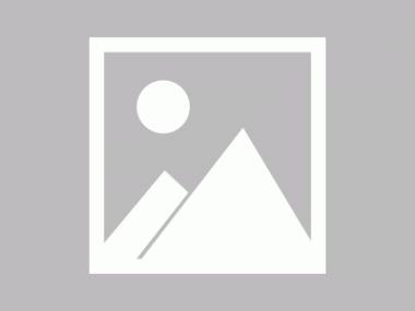 自贡企业升级新动力，技术咨询引领发展新篇章