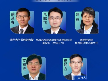 电力技术咨询，把握机遇，共迎挑战