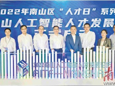 南山区，技术咨询服务领域的明星闪耀之地