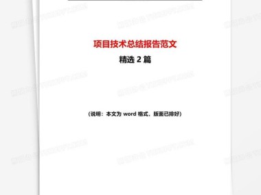 技术咨询项目总结，回顾历程，展望未来