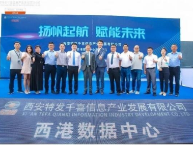 兴太咨询，赋能企业数字化转型的领航者