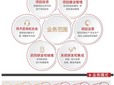 企业核心竞争力提升,技术咨询实施大纲核心指南