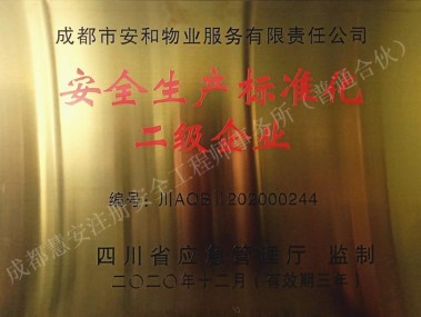成都专业安全技术咨询，助力企业稳健前行