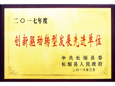 宁夏源安技术咨询,创新驱动,赋能企业高质量发展新篇章