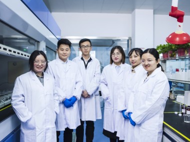 技术服务新纪元，创新驱动下的咨询售后服务升级趋势解析