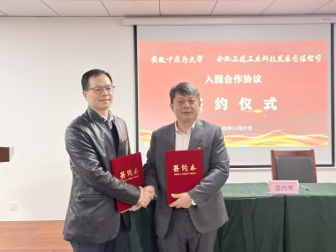 合肥三祥技术咨询公司，赋能企业智能化转型，驱动发展新动力